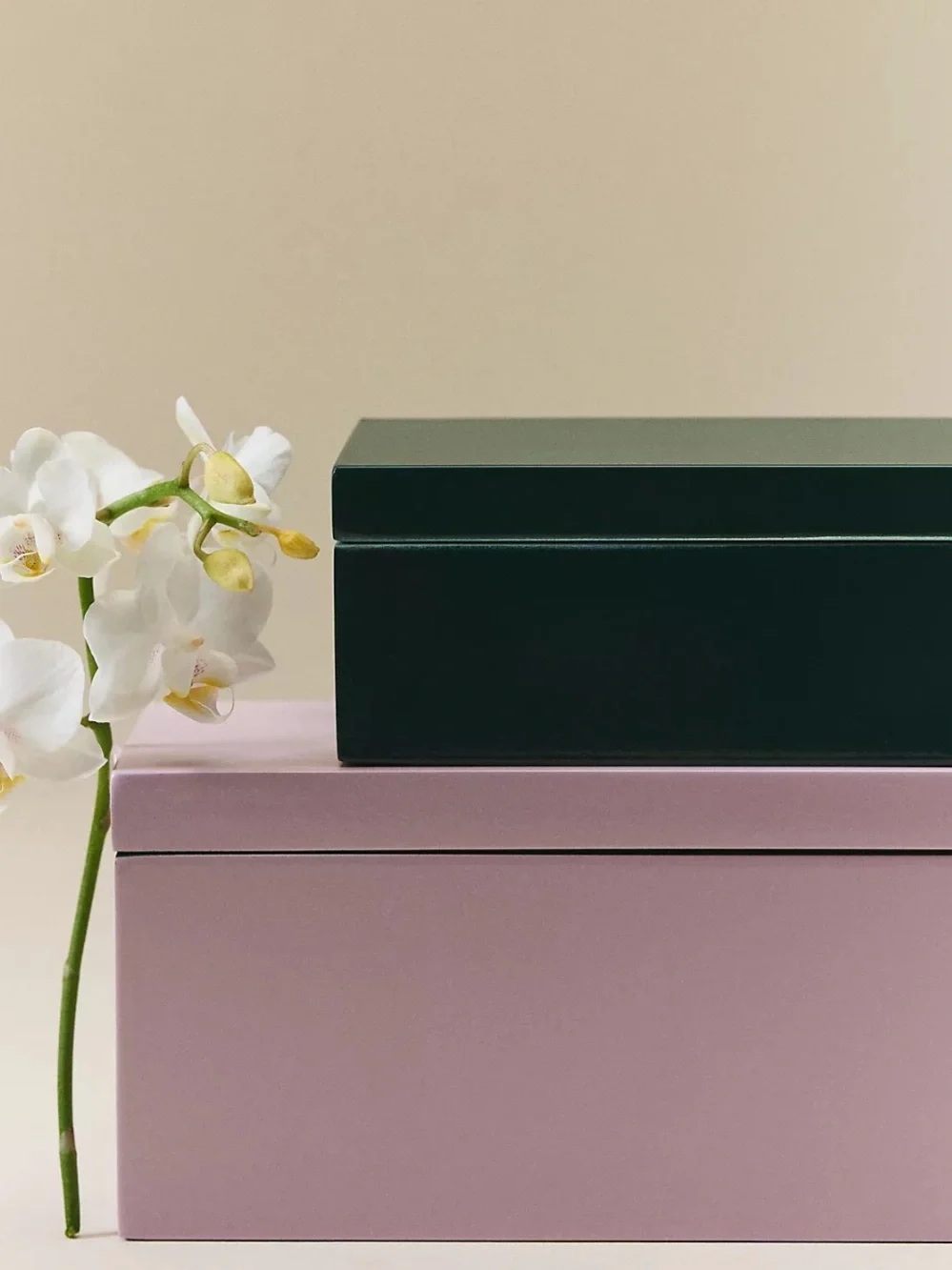 Anthropologie product details